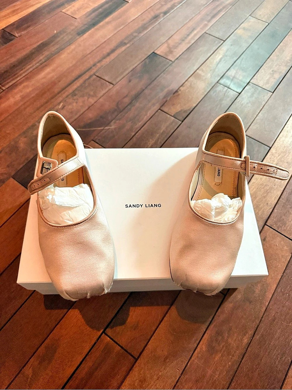 Sandy Liang Mary Jane Pointe in Ballet Satin Pink
